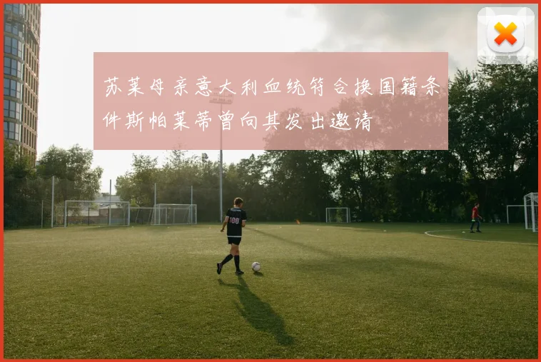 苏莱母亲意大利血统符合换国籍条件斯帕莱蒂曾向其发出邀请