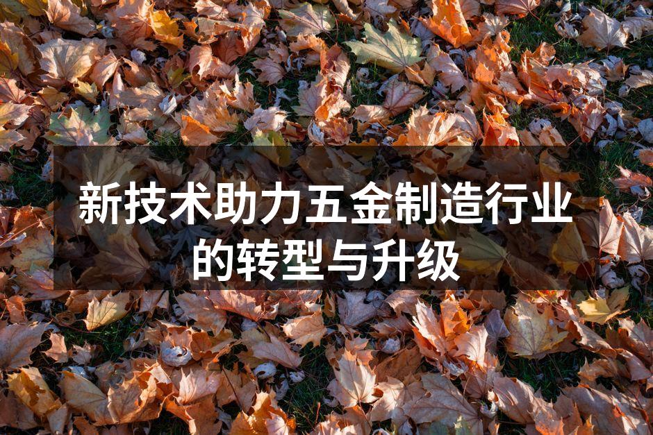 自动化生产线展示